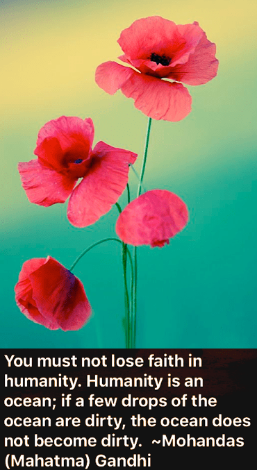 Screen Shot 2019-01-11 at 10.50.31 PM.png