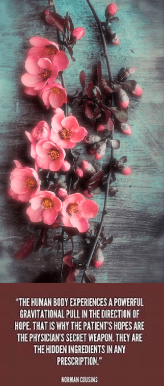 Screen Shot 2019-01-14 at 12.31.23 PM.png