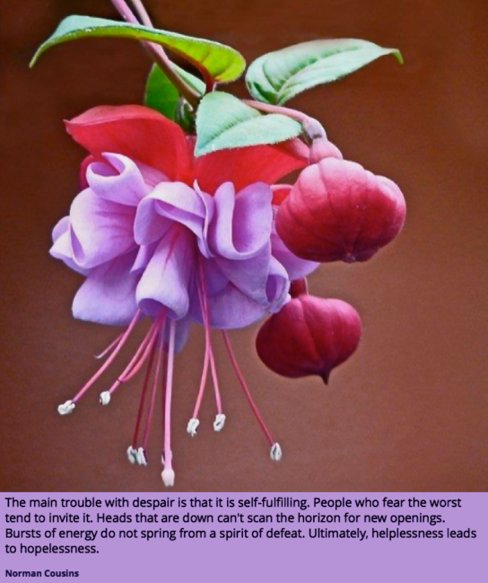 Screen Shot 2019-01-14 at 3.03.40 PM.png