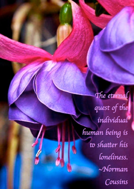 Screen Shot 2019-01-14 at 3.14.19 PM.png