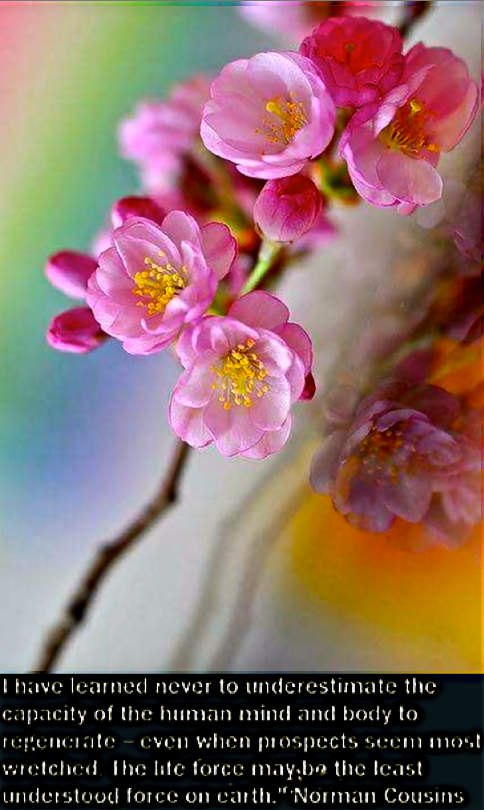 Screen Shot 2019-01-14 at 3.28.47 PM.png