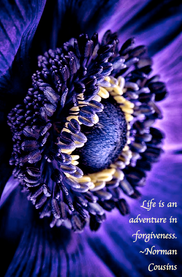 Screen Shot 2019-01-14 at 3.40.11 PM.png