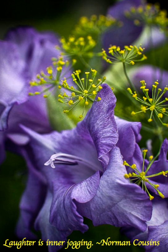 Screen Shot 2019-01-14 at 3.52.21 PM.png