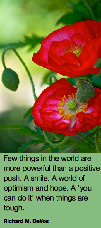 Screen Shot 2019-01-17 at 10.21.28 PM.png