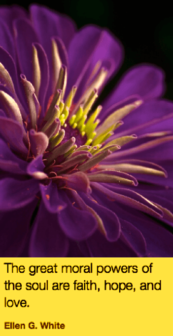 Screen Shot 2019-01-17 at 10.25.08 PM.png