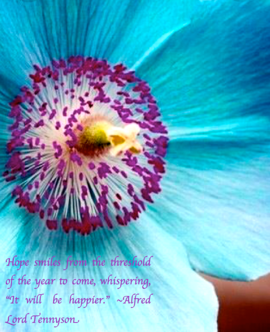 Screen Shot 2019-01-17 at 9.59.40 PM.png