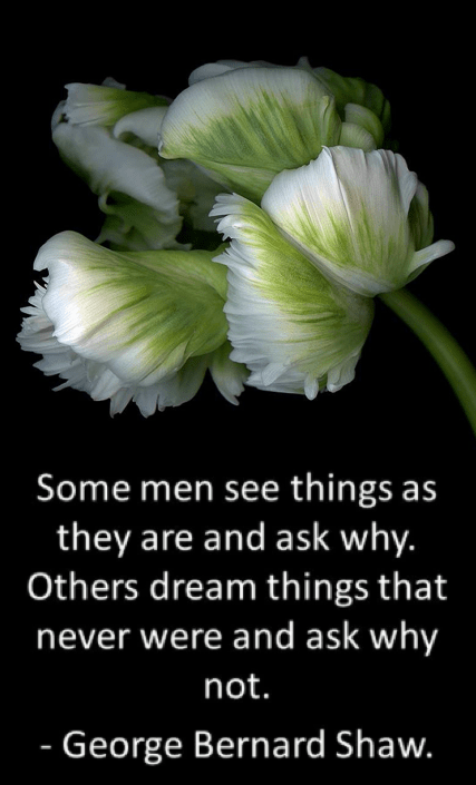 Screen Shot 2019-01-22 at 9.24.04 PM.png