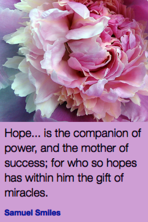 Screen Shot 2019-01-22 at 9.30.38 PM.png