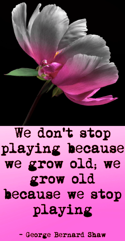 Screen Shot 2019-01-22 at 9.33.06 PM.png