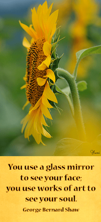 Screen Shot 2019-01-22 at 9.38.55 PM.png