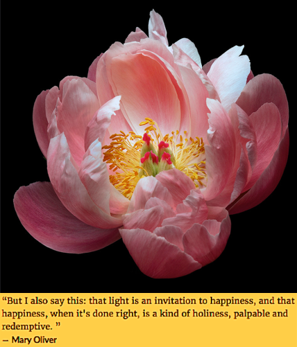 Screen Shot 2019-01-22 at 9.44.54 PM.png