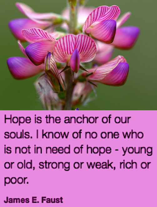 Screen Shot 2019-01-22 at 9.51.38 PM.png