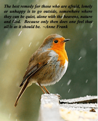 Screen Shot 2019-01-24 at 8.58.50 PM.png