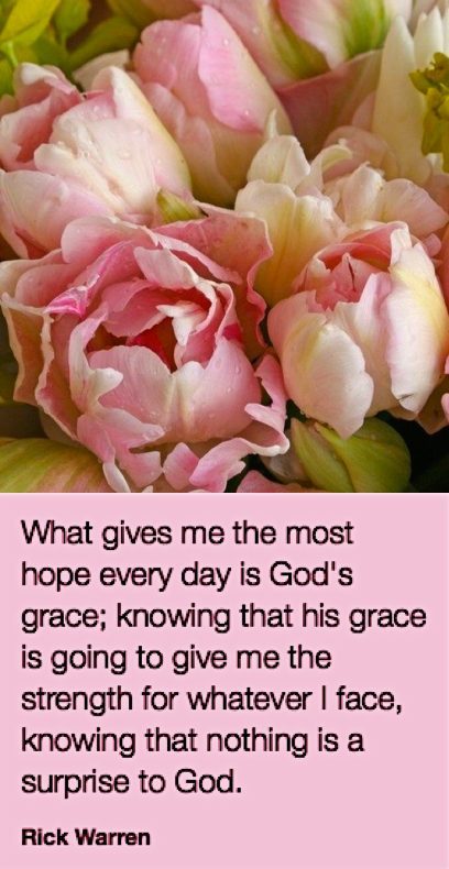 Screen Shot 2019-01-24 at 9.01.41 PM.png