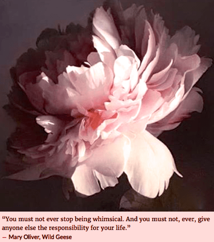 Screen Shot 2019-01-24 at 9.06.32 PM.png