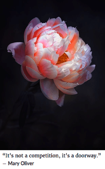 Screen Shot 2019-01-24 at 9.17.07 PM.png