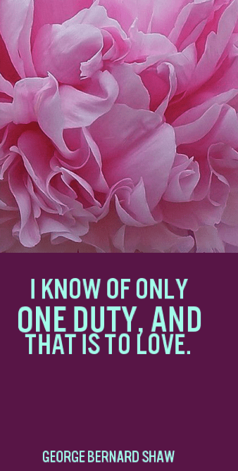 Screen Shot 2019-01-24 at 9.19.26 PM.png