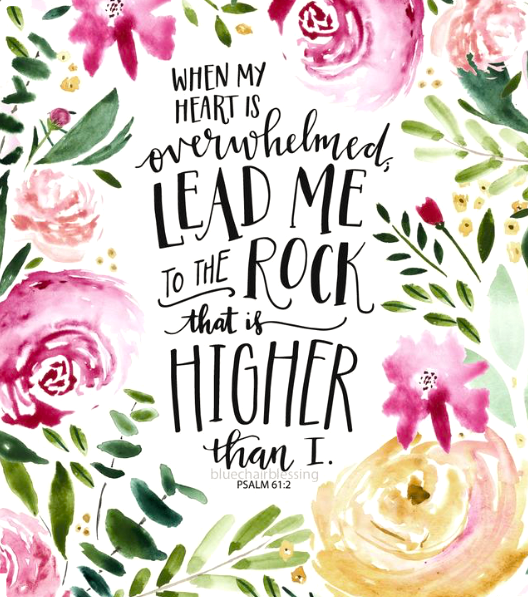 Screen Shot 2019-01-26 at 10.14.41 PM.png