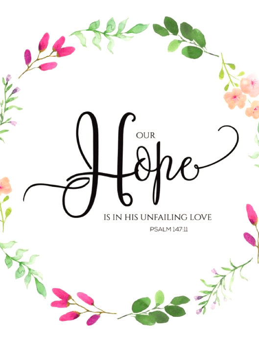 Screen Shot 2019-01-26 at 10.15.54 PM.png