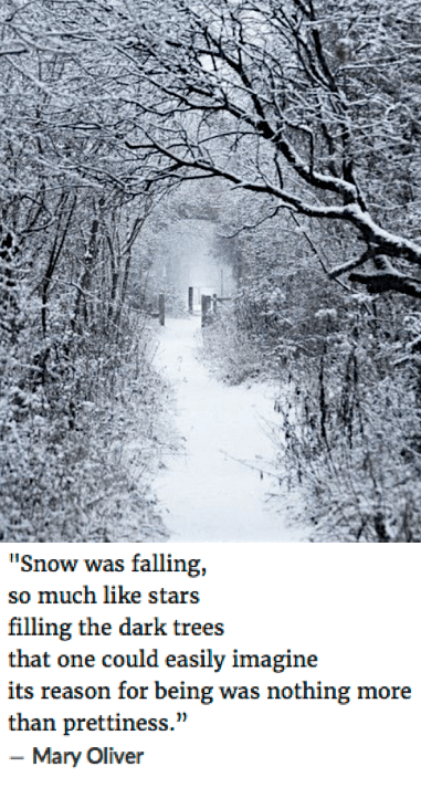 Screen Shot 2019-01-26 at 10.19.32 PM.png