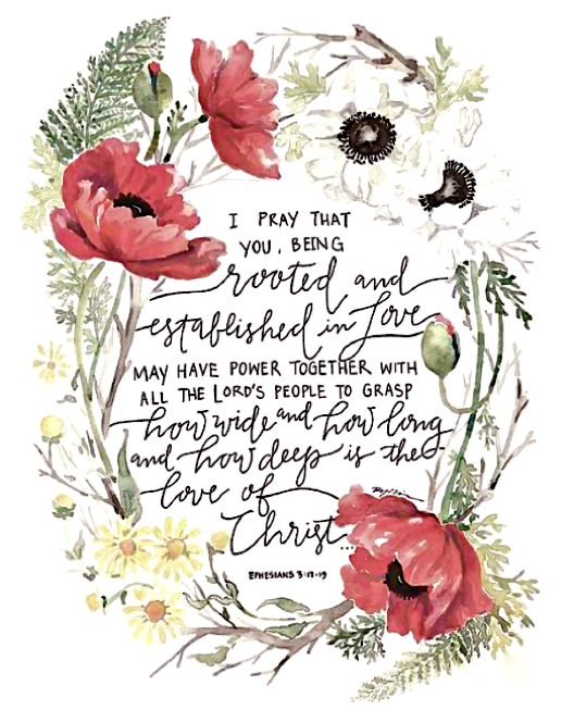 Screen Shot 2019-01-26 at 10.32.29 PM.png