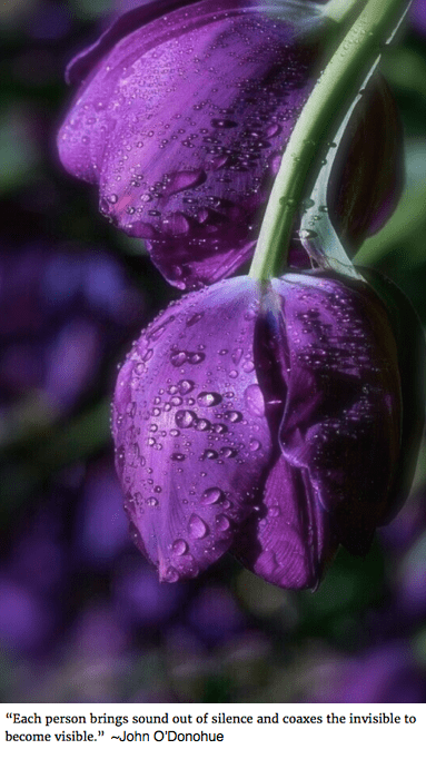 Screen Shot 2019-01-27 at 9.30.40 PM.png