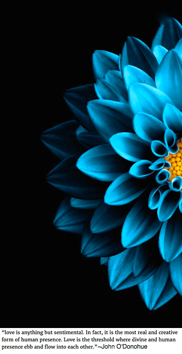 Screen Shot 2019-01-27 at 9.32.56 PM.png