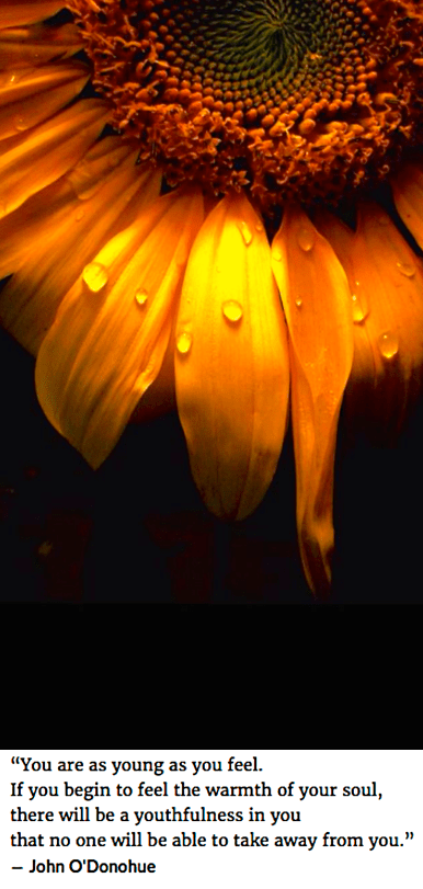 Screen Shot 2019-01-27 at 9.35.39 PM.png