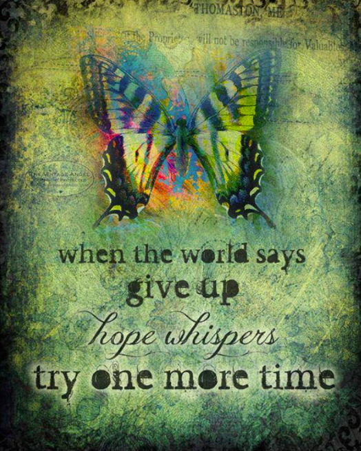 Screen Shot 2019-01-30 at 9.17.36 PM.png