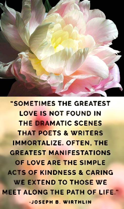 Screen Shot 2019-01-30 at 9.24.12 PM.png