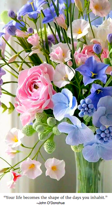 Screen Shot 2019-01-30 at 9.29.10 PM.png