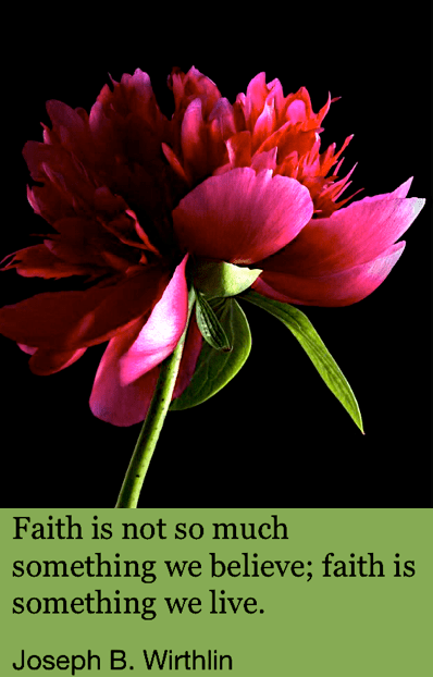 Screen Shot 2019-02-04 at 10.17.38 PM.png