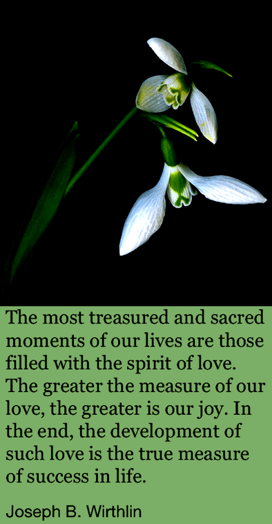 Screen Shot 2019-02-04 at 10.20.22 PM.png