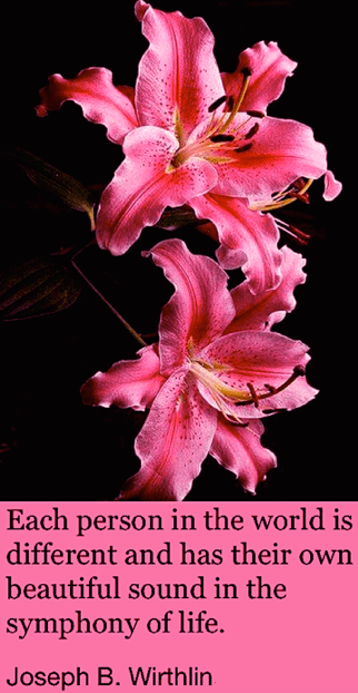 Screen Shot 2019-02-04 at 10.42.55 PM.png