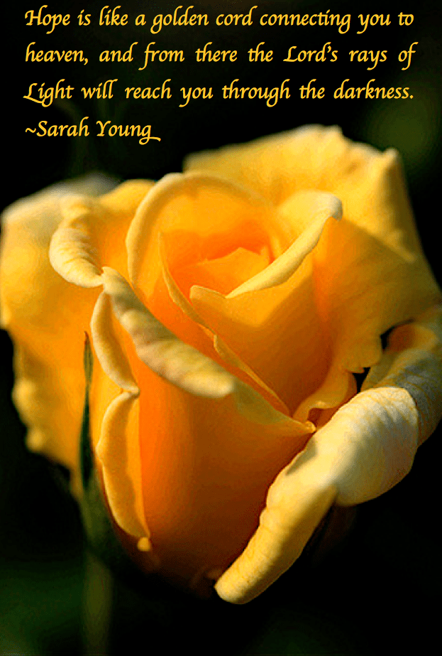 Screen Shot 2019-02-05 at 3.20.17 PM.png