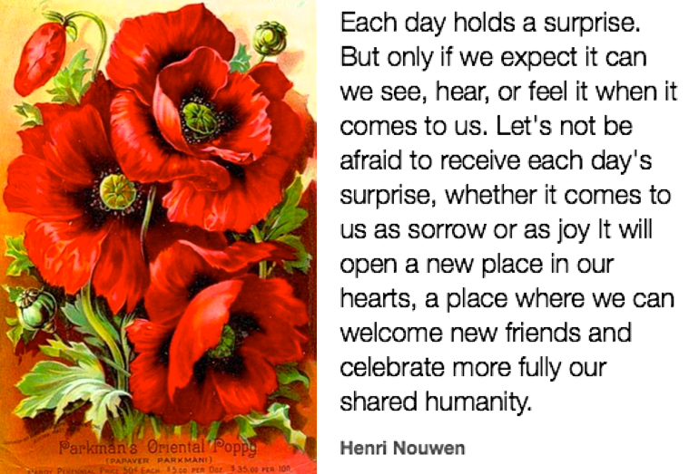 Screen Shot 2019-02-07 at 9.14.52 PM.png