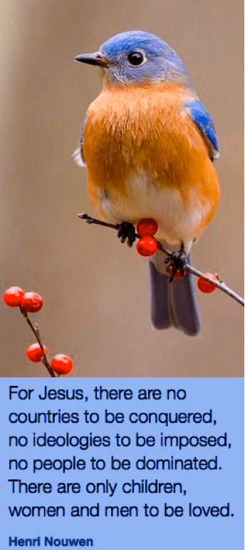 Screen Shot 2019-02-07 at 9.24.24 PM.png