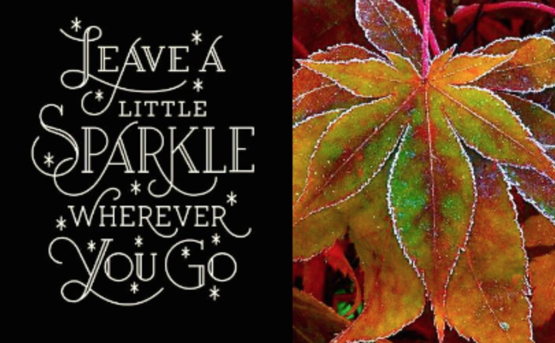 Screen Shot 2019-02-09 at 10.15.47 PM.png