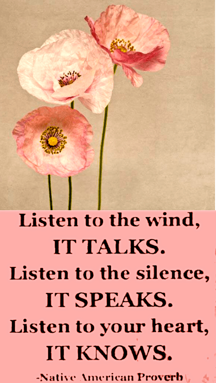 Screen Shot 2019-02-12 at 9.44.50 PM.png