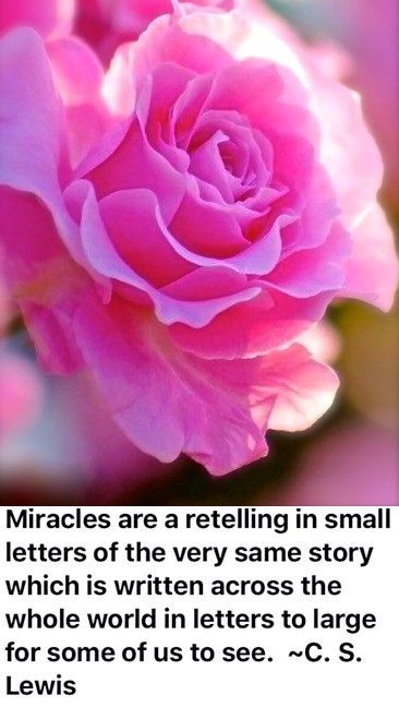 Screen Shot 2019-02-12 at 9.50.46 PM.png