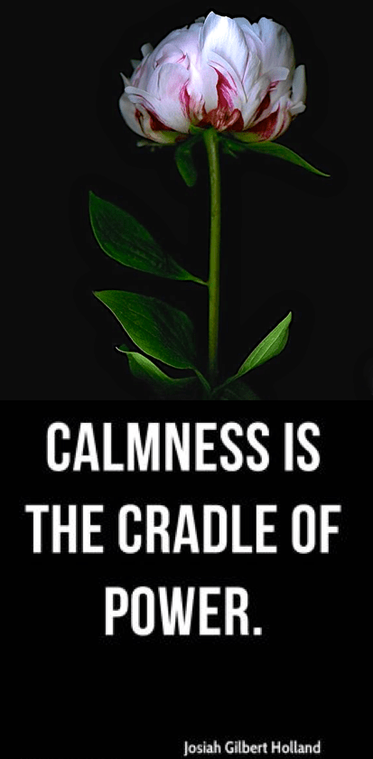 Screen Shot 2019-02-13 at 8.34.35 PM.png