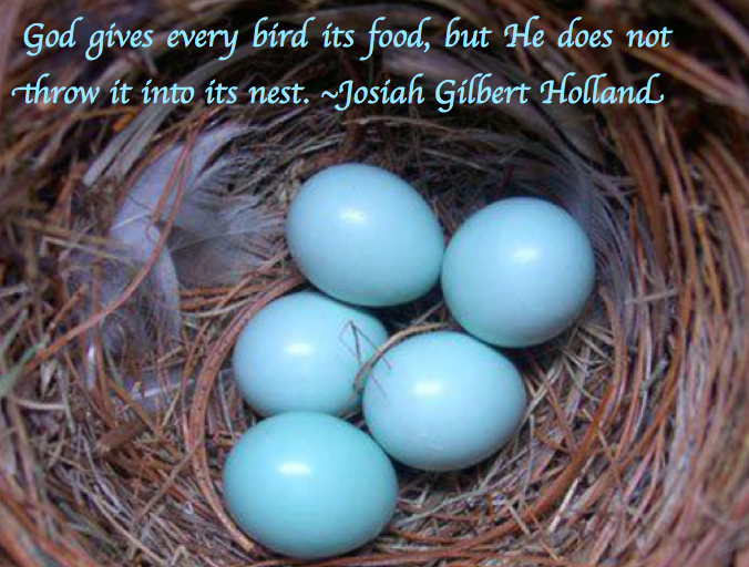 Screen Shot 2019-02-13 at 8.40.59 PM.png