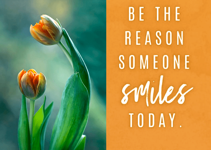 Screen Shot 2019-02-13 at 8.48.18 PM.png