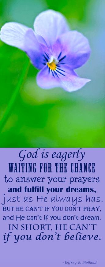 Screen Shot 2019-02-16 at 10.29.22 PM.png