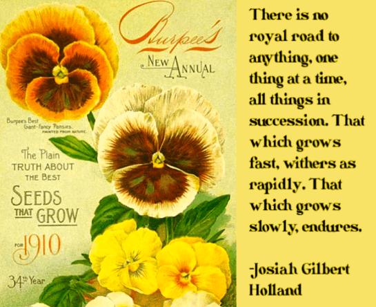 Screen Shot 2019-02-16 at 10.37.03 PM.png