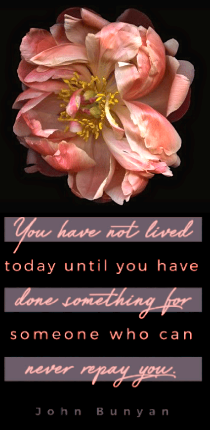 Screen Shot 2019-02-17 at 10.37.06 PM.png