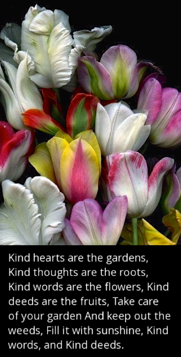 Screen Shot 2019-02-19 at 8.52.35 PM.png