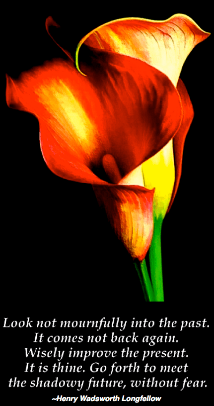 Screen Shot 2019-02-19 at 9.01.42 PM.png