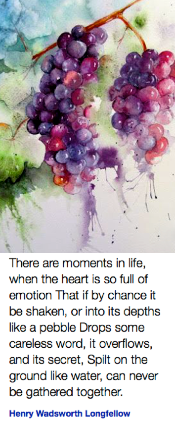 Screen Shot 2019-02-20 at 9.18.46 PM.png