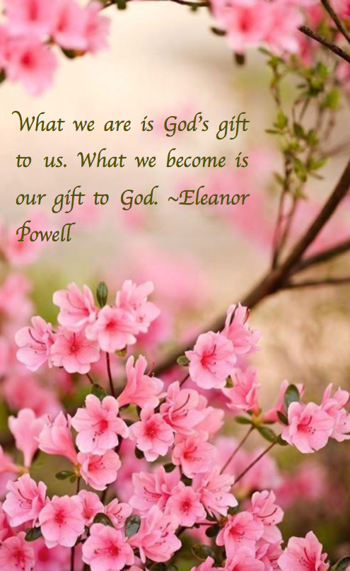 Screen Shot 2019-02-20 at 9.26.27 PM.png